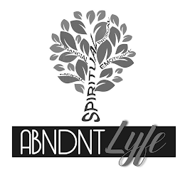 ABNDNT LYFE SPIRITUAL MENTAL FINANCIAL PHYSICAL EMOTIONAL logo