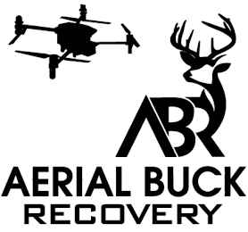 ABR AERIAL BUCK RECOVERY logo