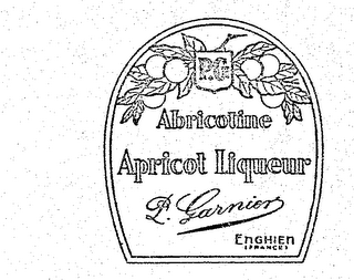 ABRICOTINE APRICOT LIQUEUR P. GARNIER ENGHIEN (FRANCE) P.G logo