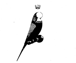 ABS-D41 logo
