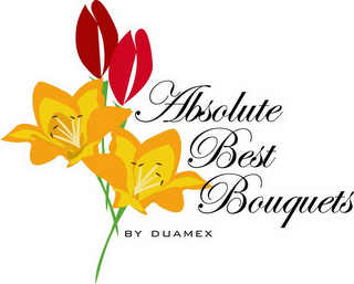 ABSOLUTE BEST BOUQUETS BY DUAMEX logo