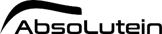 ABSOLUTEIN logo