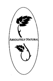 ABSOLUTELY NATURAL logo