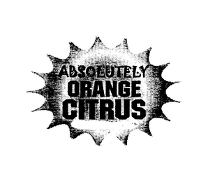 ABSOLUTELY ORANGE CITRUS logo