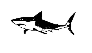 ABSORBA-FAT logo