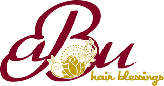 ABU HAIR BLESSINGS logo