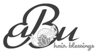 ABU HAIR BLESSINGS logo