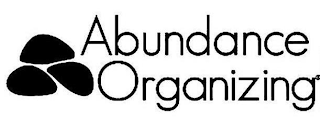 ABUNDANCE ORGANIZING logo