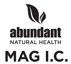 ABUNDANT NATURAL HEALTH MAG I.C. logo