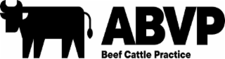 ABVP BEEF CATTLE PRACTICE