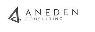 AC ANEDEN CONSULTING logo