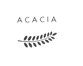 ACACIA & DESIGN logo