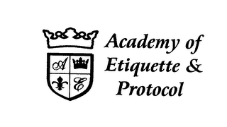 ACADEMY OF ETIQUETTE & PROTOCOL logo