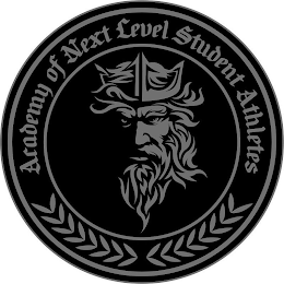 ACADEMY OF NEXT LEVEL STUDENT ATHLETES logo
