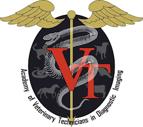 ACADEMY OF VETERINARY TECHNICIANS IN DIAGNOSTIC IMAGING VT logo
