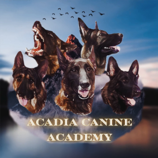 ACADIA CANINE ACADEMY