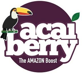 ACAI BERRY THE AMAZON BOOST logo