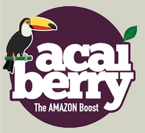 ACAI BERRY THE AMAZON BOOST logo