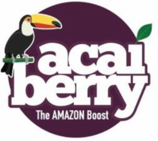ACAI BERRY THE AMAZON BOOST logo
