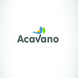 ACAVANO logo