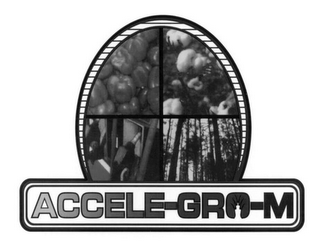 ACCELE-GRO-M logo