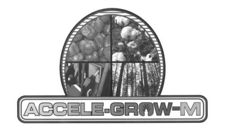 ACCELE-GROW-M logo