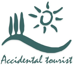 ACCIDENTAL TOURIST logo
