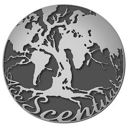 ACCSCENTUALS logo