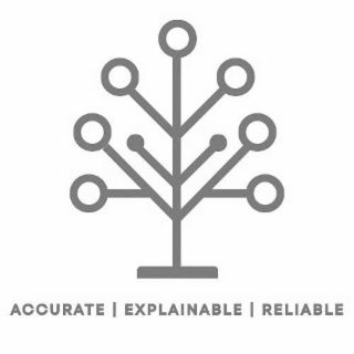 ACCURATE I EXPLAINABLE I RELIABLE logo