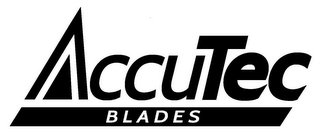 ACCUTEC BLADES