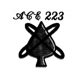 ACE 223 logo