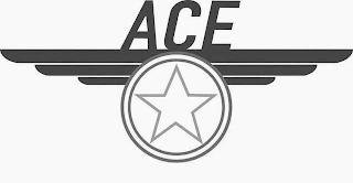 ACE logo