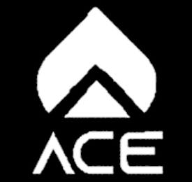 ACE logo