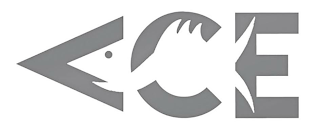 ACE logo