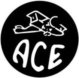 ACE logo