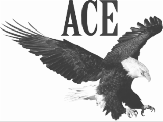ACE logo