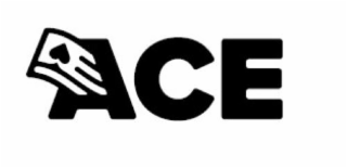 ACE logo