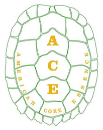 ACE AMERICAN CORE ESSENCE logo