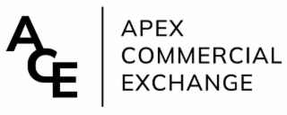 ACE APEX COMMERCIAL EXCHANGE logo