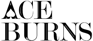 ACE BURNS logo