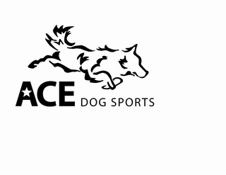 ACE DOG SPORTS logo