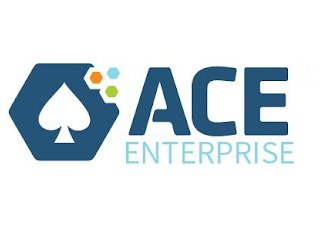 ACE ENTERPRISE logo
