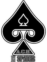 A.C.E. IN SPADES logo