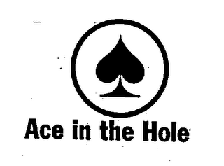 ACE IN THE HOLE logo