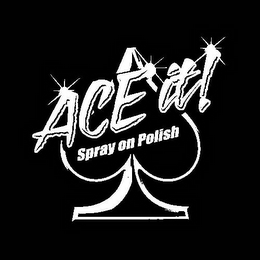 ACE IT! SPRAY ON POLISH logo