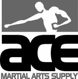ACE MARTIAL ARTS SUPPLY logo