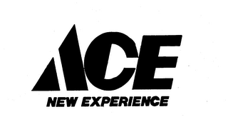 ACE NEW EXPERIENCE logo