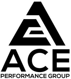 ACE PERFORMANCE GROUP logo