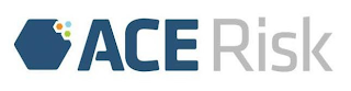 ACE RISK logo