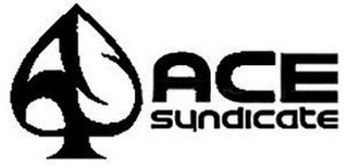 ACE SYNDICATE logo